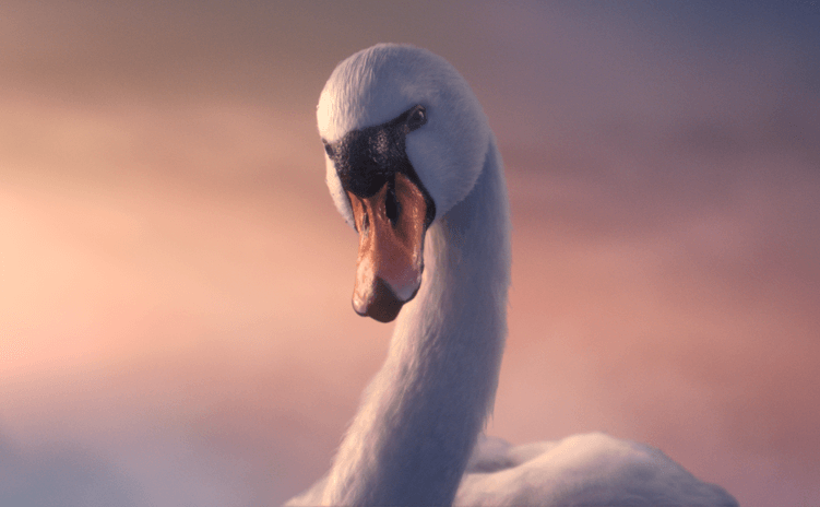 Watch L&C's new TV advert!